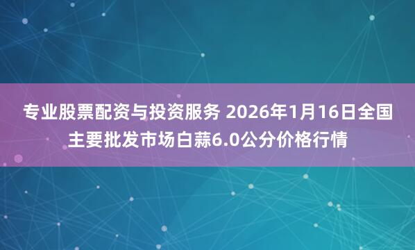 专业股票配资与投资服务 2026年1月16日全国主要批发市场白蒜6.0公分价格行情